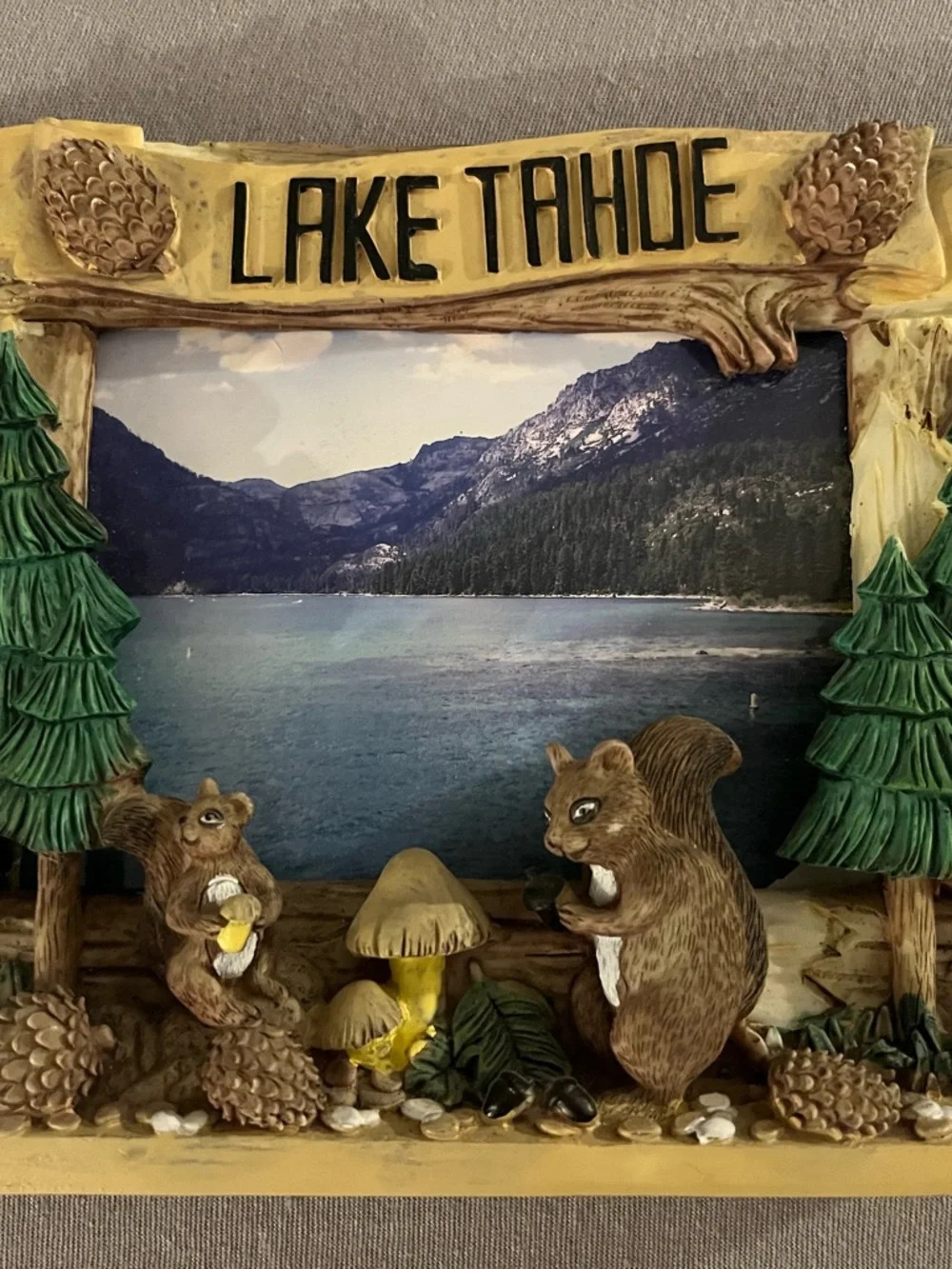 Lake Tahoe Squirrel & Pinecone Resin free-standing 3D Frame - Brown/Green
